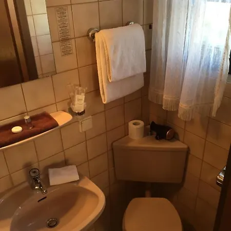 מלון Waldziegelhuette 3*