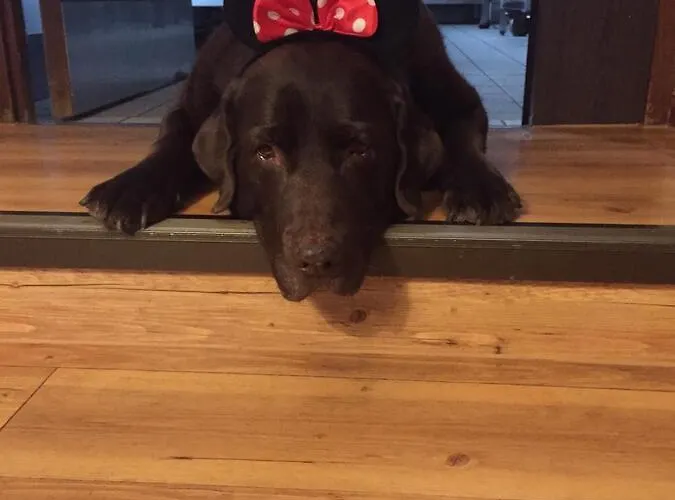 Waldziegelhuette فندق 3*